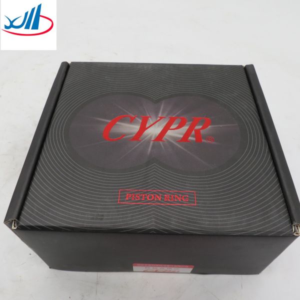 Iron Material Piston Ring XCMG Spare Parts 612600030058 Best Price