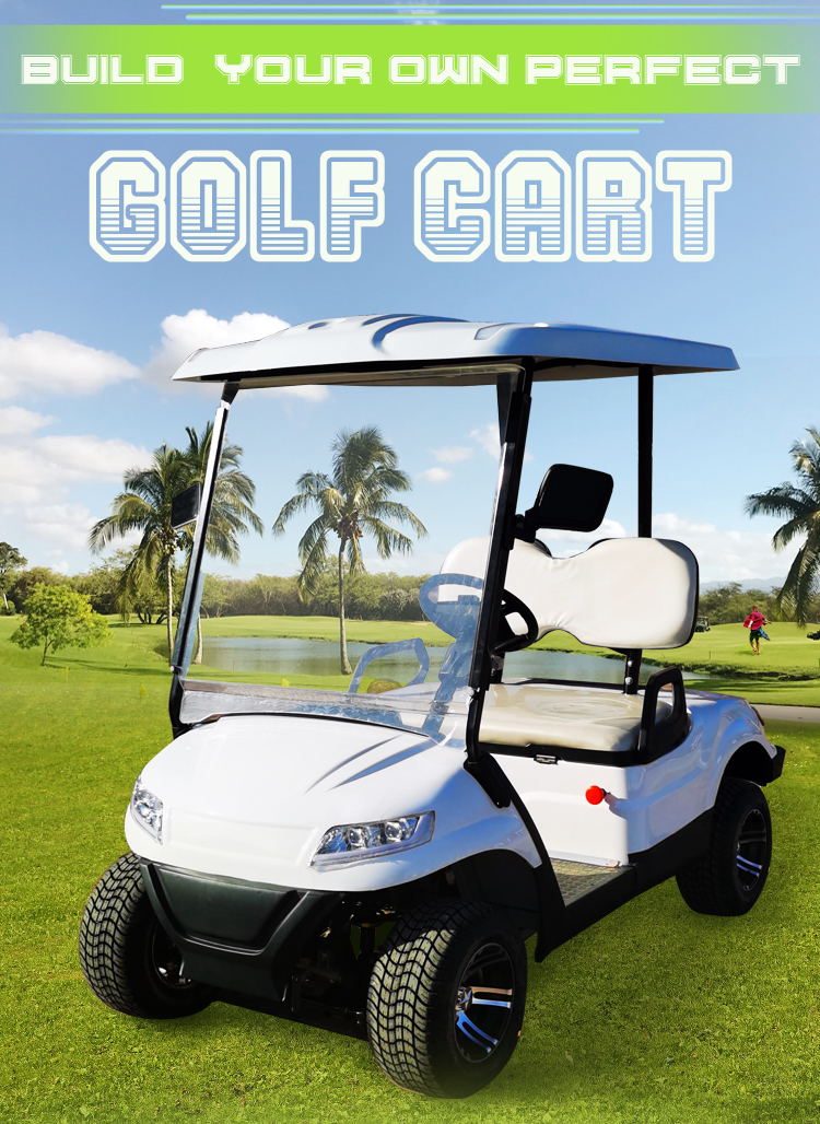 2 Passenger Terminator 48V Electric Golf Cart New Energy 5KW OEM