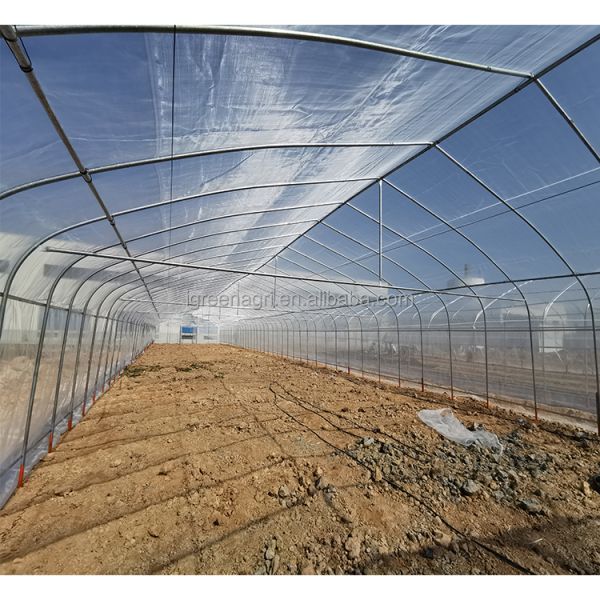 Durable Poly Small Agricultural Greenhouse Tunnel Roses Professional Flower Growing UV-Resistant PE Film Cover Ventilation