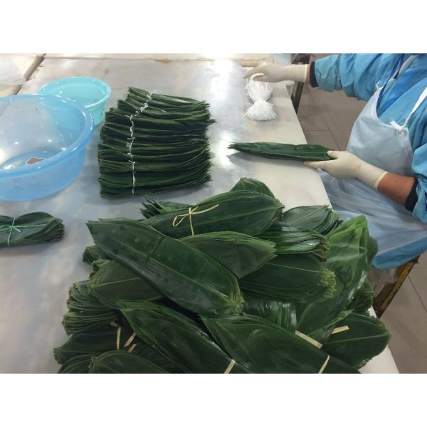 Natural Green Active Polysaccharide 35cm Fresh Bamboo Leaves