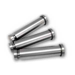 Customized Punches HSS Stamping Die Parts With M2 Punch And DIN9861 D Standard