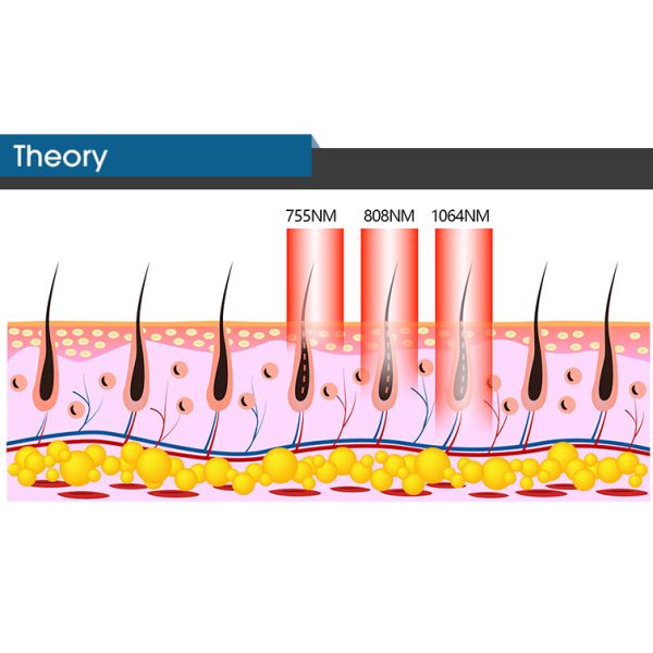 ADSS Hair Removal 808nm Diode Laser Salon Use Laser Hair Removal Machine With Skin Rejuvenation Laser