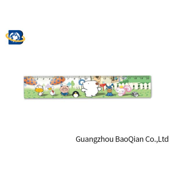 Правители подарков 3Д канцелярских принадлежностей детей изготовленные на заказ пластиковые, линзовидное изображение печатая красивую диаграмму