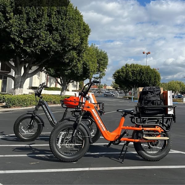Family 48V 250W Lithium Battery Disc Brake Aluminum Alloy Frame Electric Cargo Bike Front Box Long Tail Brushless Motor 7-Speed