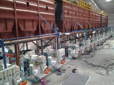 Hard Wood Rubber Wood Pellet Making Machine  , 20t/h Thailand Complete Pellet Plant