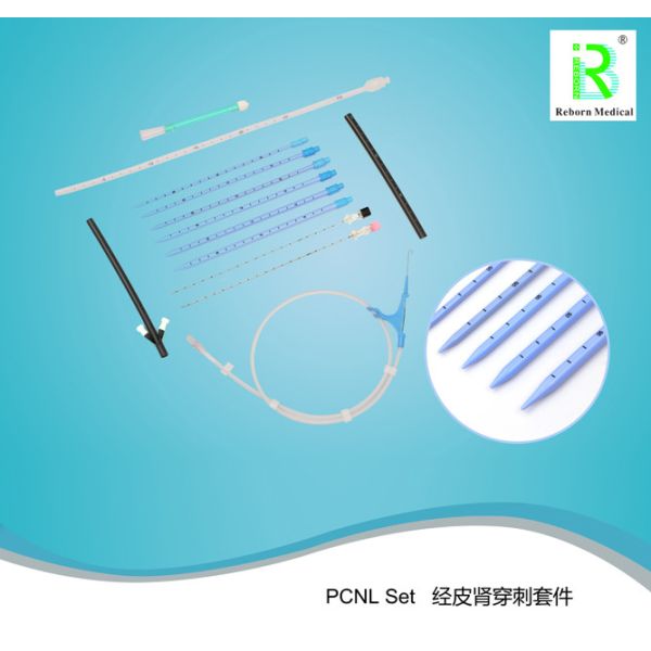F8-F24 Percutaneous Nephrostomy Kit Puncture Needle Renal Dilator Urology Surgery