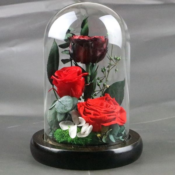 Real Preserved Rose in Glass Dome  use for Office gift or Home Decoration