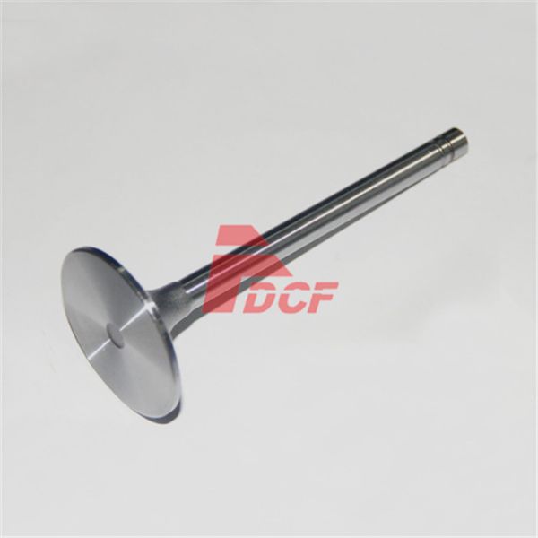 3306 Excavator Valve 5S6452 5S6449 48*9.5*139*60 Size Intake Type