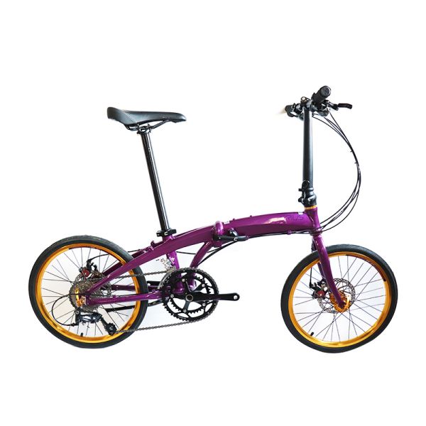 Full Shockingproof Frame Folding Bike 20