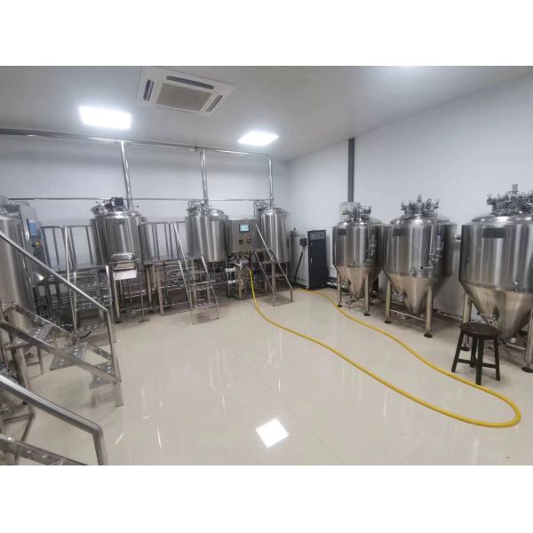 Домашнее пивоварное оборудование с 60-градусным резервуаром для ферментации конуса от GSTA Outlet