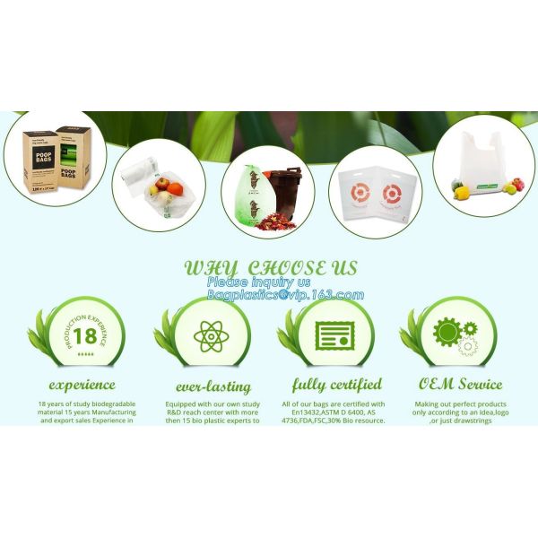 YANTAI BAGEASE PACKAGING PRODUCTS CO.,LTD