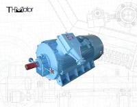 Motor Elétrico à Prova de Explosão IE2 3600rpm Com Bomba Trifásica