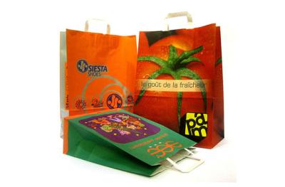 Color printed paper carrying bag 02