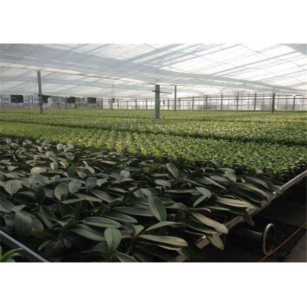 Good Ventilation Greenhouse Rolling Benches , Greenhouse Seedbed System 1.2 - 5.0mm Diameter