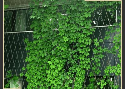 Diamond Vegetable Plant Supporting Net Protection Ferruled Ultrasonic Bath