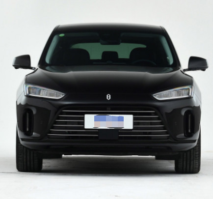 Размер места SUV двери 5 варианта 5 проведения четырехколесного привода Aito M5 2022 средний