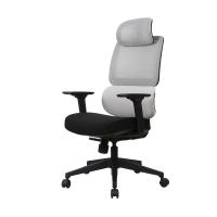 Apoio lombar completo de Mesh Ergonomic Office Chair Adjustable do rodízio do PA
