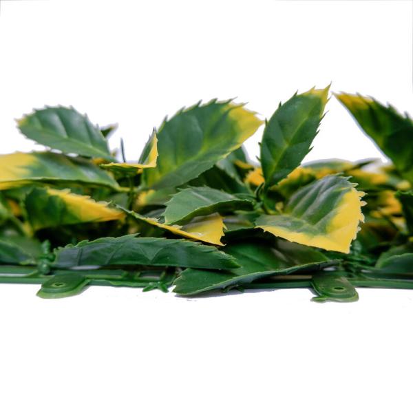 25mm Hedge Fake Plant Wall Panels For Company Or Shopping Mall Decoration