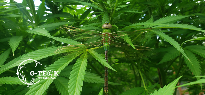 Mo 10% N10% Chelated Amino Acids 25% Organic Fertilizer