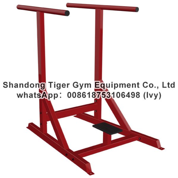 Gym Fitness Equipment Dipping Bars
