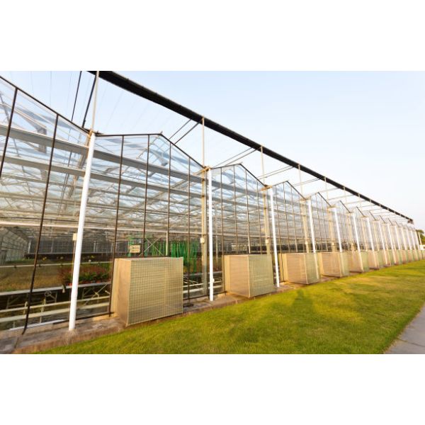 Сверхмощный стеклянный Hydroponic парник питомника для овощей