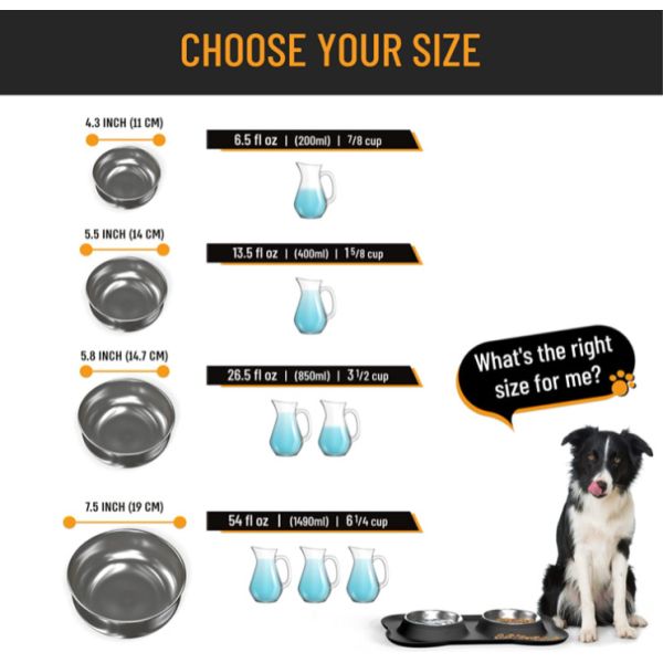 Food Water Dog Food Bowls With Skid Resistant Silicone Mat