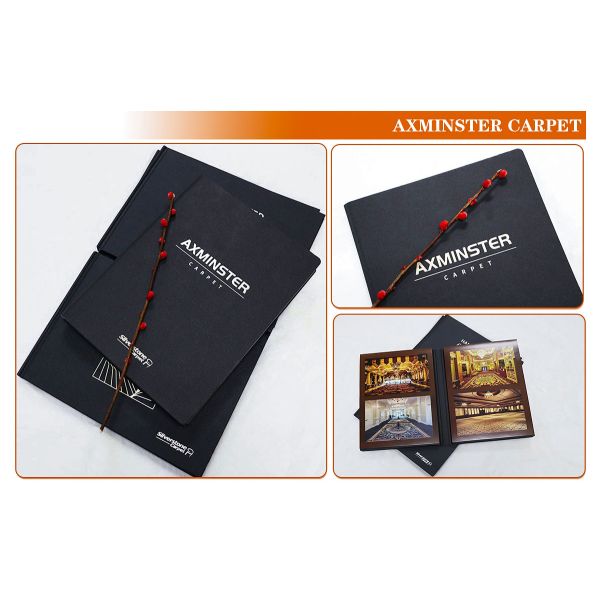 Hotel Style Polyamide Carpet Soft Tufted Rolls for Indoor/Outdoor Superior and Design