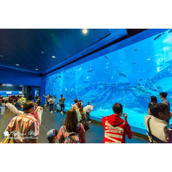 Diversas formas Fibra de vidrio sobre el suelo Piscina acrílica con procesamiento de moldeo