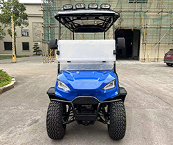 Outdoor Food Truck and GCC Cargo Atv Eec 4 Seater Golf Cart with 2400mm Wheelbase