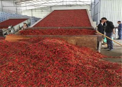 35.3kw Continuous Belt Drying Equipment 4*3 Unit Hemp And Alfalfa Dryer