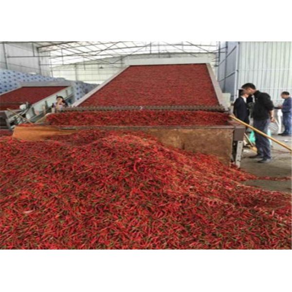 пенька блока оборудования засыхания 4*3 бесконечной ленты 35.3kw и сушильщик альфальфы