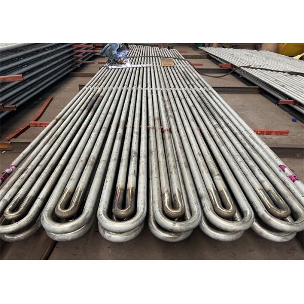 Secondary Coal Boiler Superheater Coilsin Thermal Power Plant ODM
