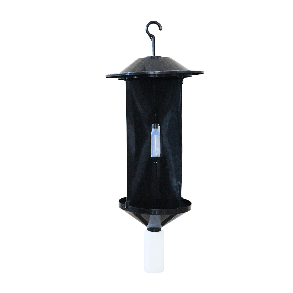 Beetle Trap