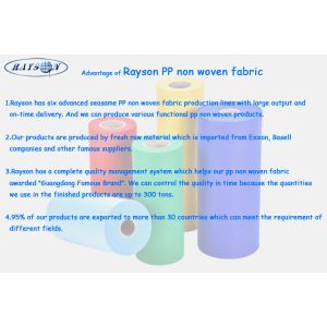 FOSHAN RUIXIN NON WOVEN CO.,LTD