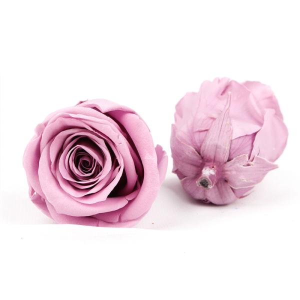 Colorful Allergy Friendly A Grade 5-6cm Preserved Rose Heads