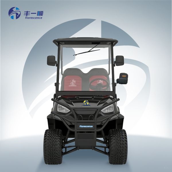 4 Seater 2+2 Seat Off Road Electric Golf Cart Lithium Battery Golf Buggy With CE Certificate