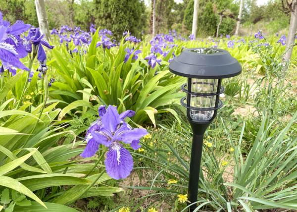 LED 15W Outdoor Solar Lawn Lights IP65 Waterproof Landscape With Lithium Battery