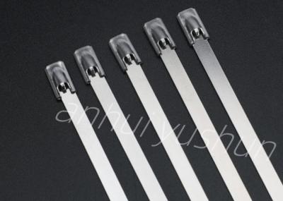 100mm SS316 Bundle Stainless Cable Tie Buckle Type