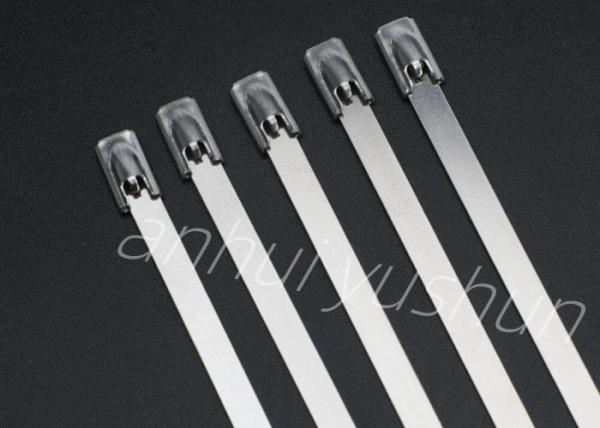 100mm SS316 Bundle Stainless Cable Tie Buckle Type
