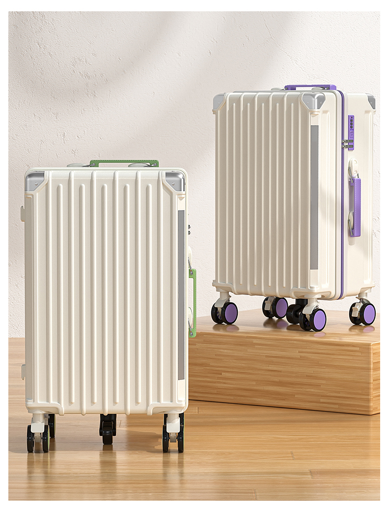 20 Inch Luggage with TSA Lock