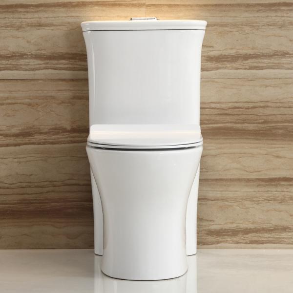 Dual-Flush Water Saving One Piece Toilet White Ceramic