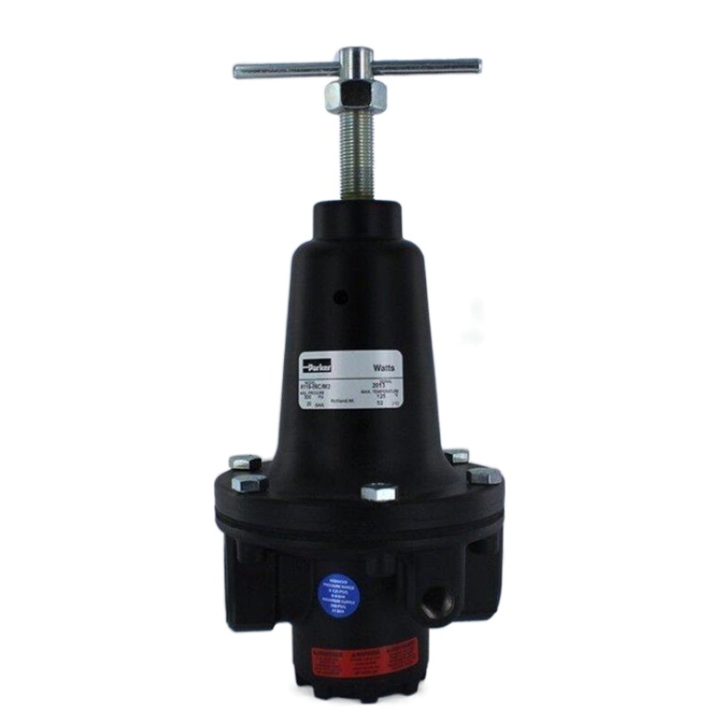 Parker-Watts R119-04C - 1/2" NPT Pressure Regulator