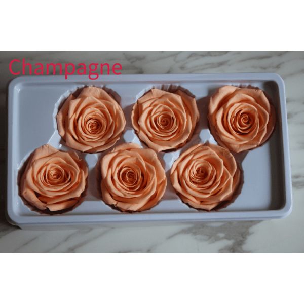 beautiful preserved rose flower A grade stabilized rose preserved long lasting eternal rose 4-5cm
