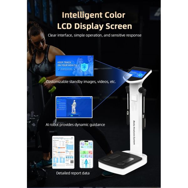 Gym Use Full Body Analyzer Body Scanner Analyzer Scanner Machine Human Composition Measurement Fat Analyse