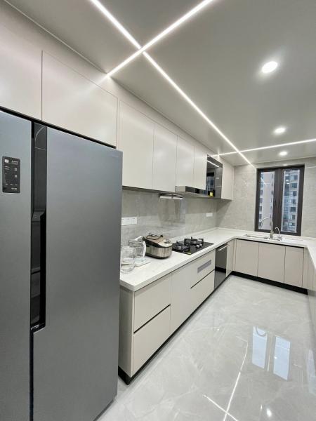 Acrylic Door Finish Contemporary Kitchen Cabinet For Stylish Home Renovations