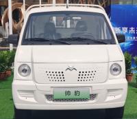 carga elétrica Van Single Row Pure Box micro Van de 2.6T 2.88m 41,6 KWh