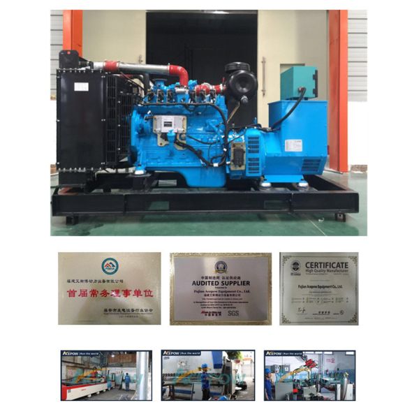 Steel 5 KVA 20KW 220V Natural Gas Standby Generator