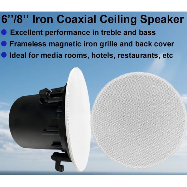40W/20W/10W/5W 8-inch Coaxial Speaker Ceiling Speaker 100V/70V/8ohm Commercial Audio Iron Material OEM ODM