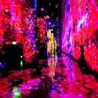 Projection laser interactive murale / plancher moderne de luxe pour exposition