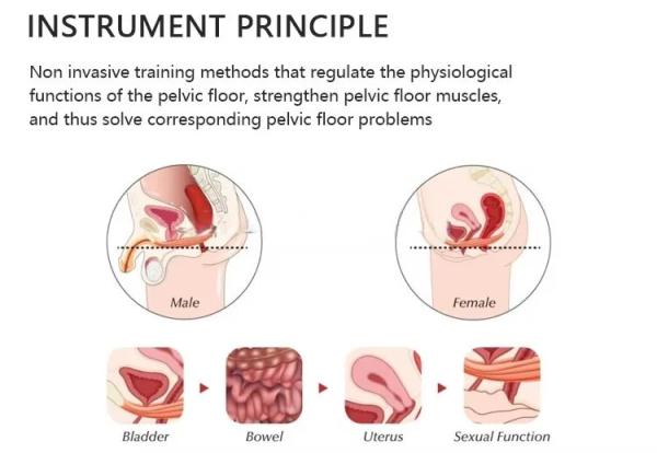 Ems Pelvic Chair Ergonomic Cushion Pelvic Floor Muscle Repair Machine Muscle Trainer Pelvic Floor Instrument